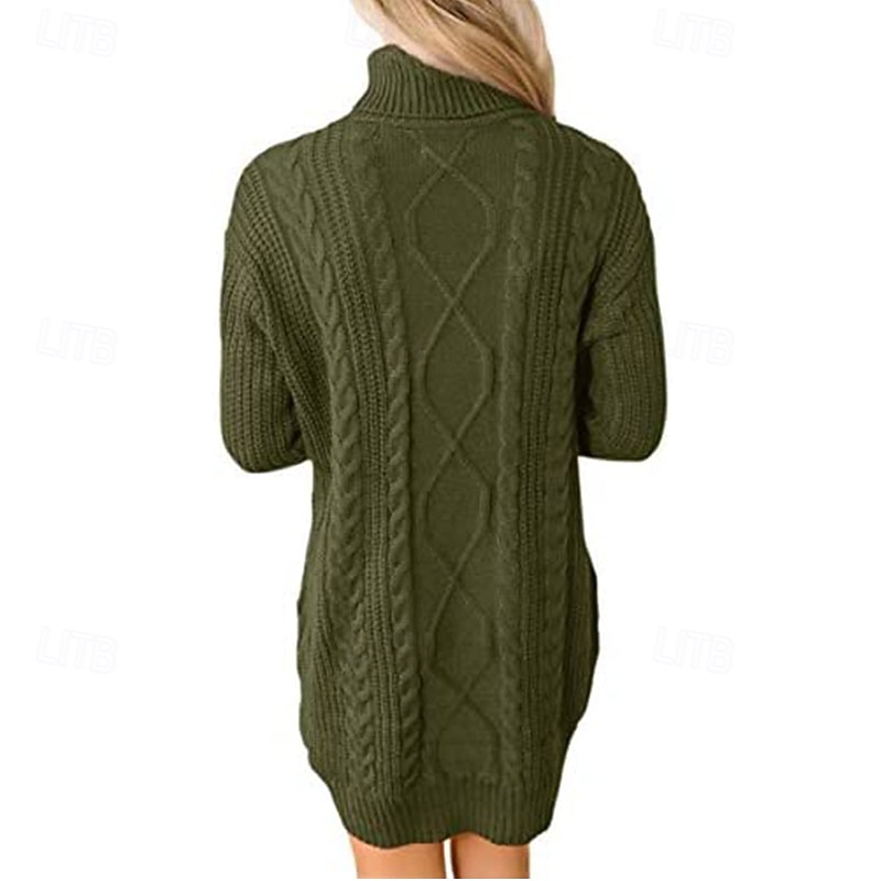 Women's Mini Dress Sweater Dress Fashion Modern Vacation Going out Regular Fit Plain Long Sleeve Turtleneck Black Wine Army Green Khaki Fall Winter3