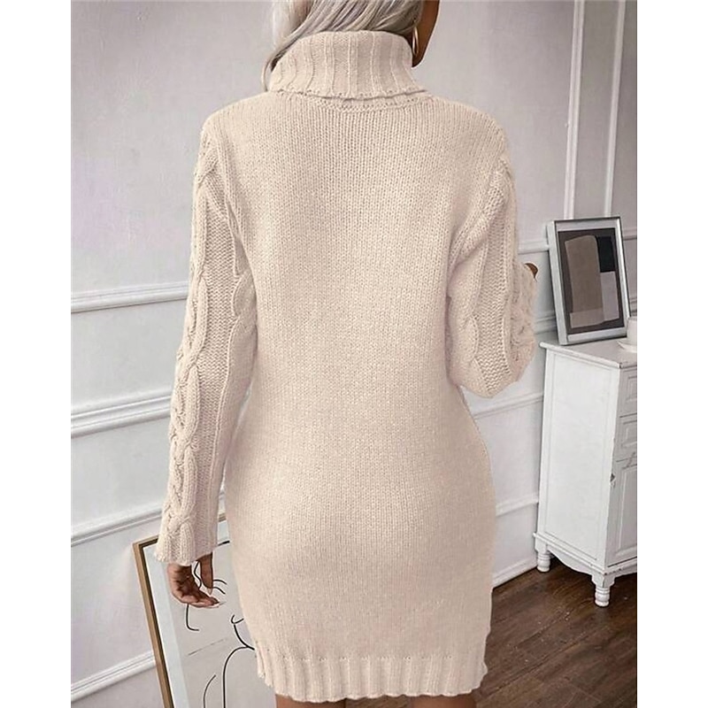 Women's Mini Dress Sweater Dress Knit Dress Casual Dress Elegant Fashion Modern Outdoor Daily Going out Regular Fit Plain Long Sleeve Turtleneck Apricot Fall Winter3