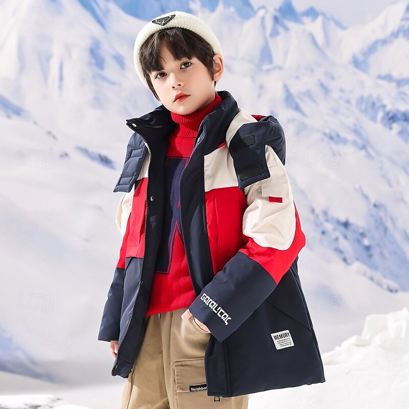 Kids Unisex Down Jacket Outdoor Jacket Puffer Jacket Outerwear Color Block Long Sleeve Keep Warm Windproof Coat Outdoor Daily Basic Red Purple Green Fall Winter 4 years+2