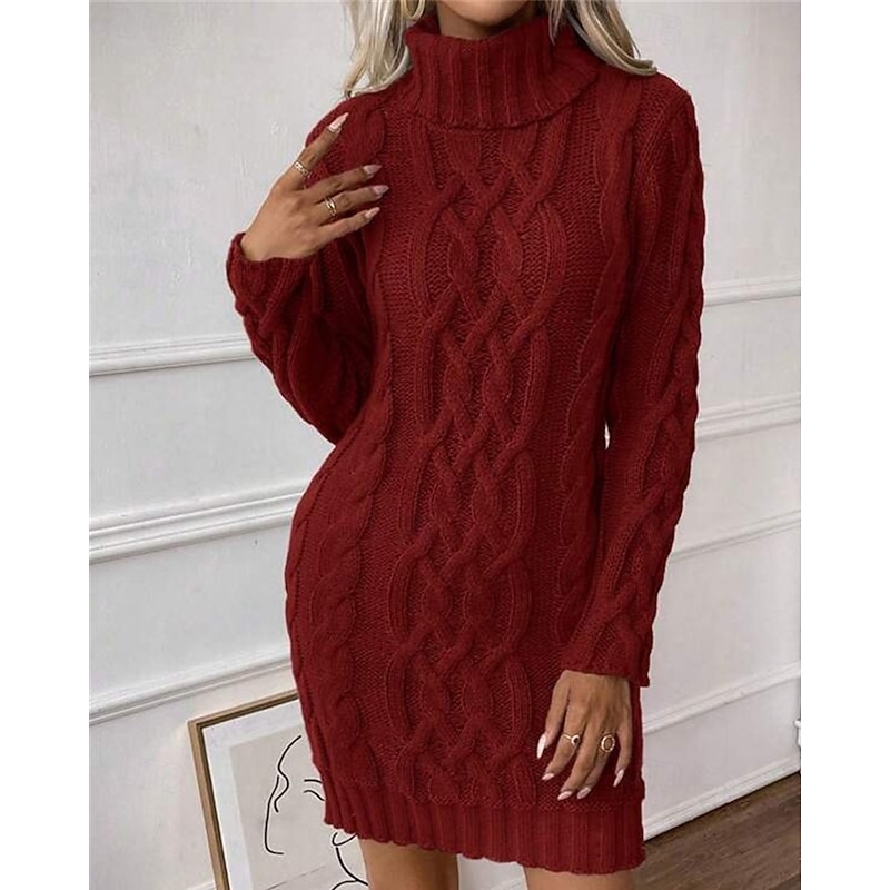 Women's Mini Dress Sweater Dress Knit Dress Casual Dress Elegant Fashion Modern Outdoor Daily Going out Regular Fit Plain Long Sleeve Turtleneck Wine Fall Winter4