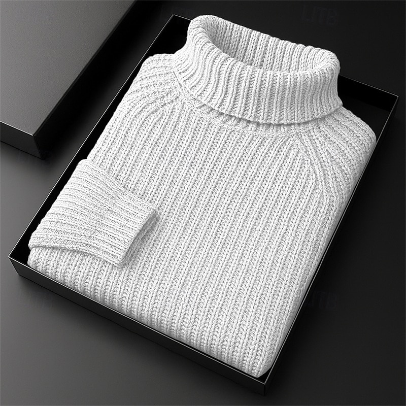 Men's Sweater Pullover Sweater Jumper Ribbed Knit Regular Tops Knitted Minimalist Plain Turtleneck Knitwear Contemporary Casual Daily Wear Clothing Apparel Fall Winter Black White M L XL2