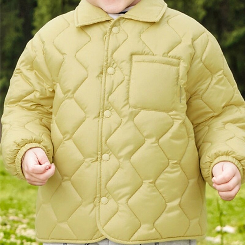 Kids Unisex Down Jacket Puffer Jacket Outerwear Solid Color Long Sleeve Pocket Comfort Buttons Soft Breathable Coat Outdoor Daily Basic Blue Green Fall Winter 4 years+4