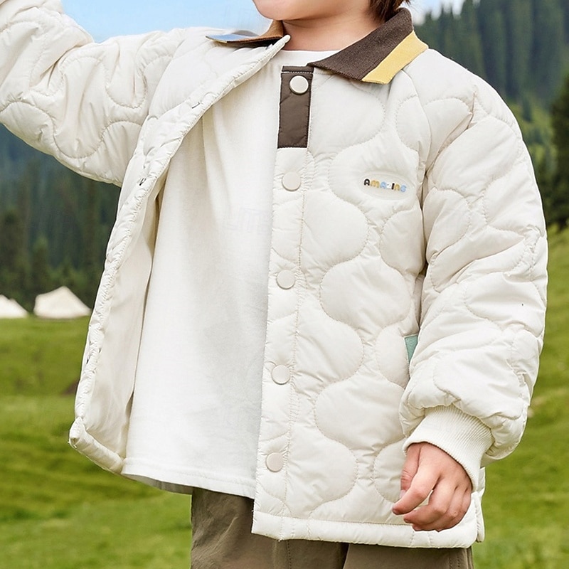Kids Unisex Down Jacket Puffer Jacket Outerwear Color Block Long Sleeve Pocket Comfort Buttons Soft Breathable Coat Outdoor Daily Basic White Blue Fall Winter 4 years+2