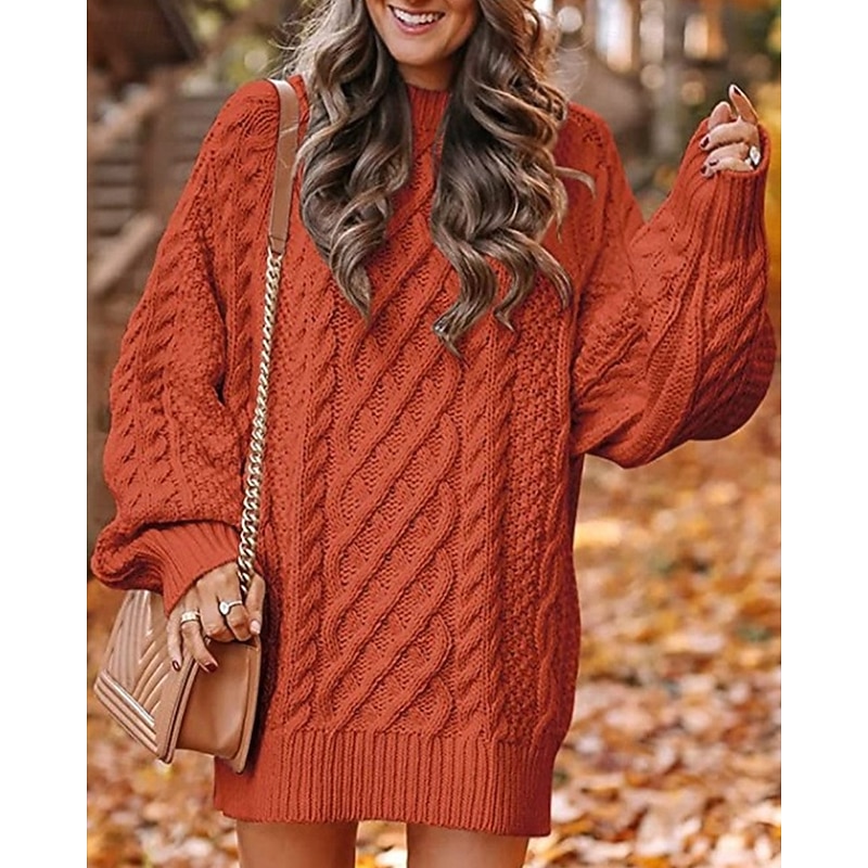 Women's Sweater Fashion Casual Pure Color Ribbed Crew Neck Knitted Long Sleeve Regular Tops Knit Outdoor Daily Weekend Hot Pink Pink Fall Winter