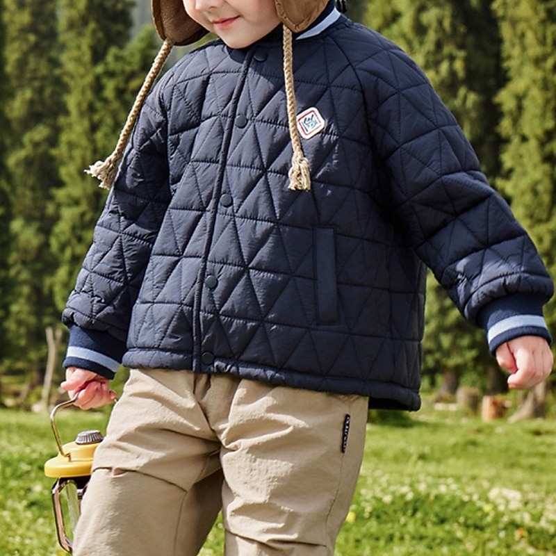 Kids Unisex Down Jacket Puffer Jacket Outerwear Solid Color Long Sleeve Pocket Lightweight Comfort Buttons Keep Warm Coat Outdoor Daily Basic Blue Spring Fall 4 years+2