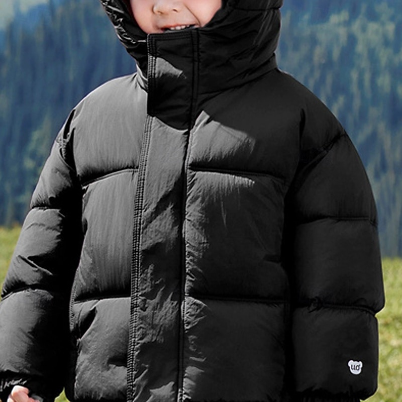Kids Unisex Down Jacket Puffer Jacket Outerwear Solid Color Long Sleeve Zipper Pocket Lightweight Comfort Keep Warm Coat Outdoor Daily Basic Black Red Blue Fall Winter 4 years+