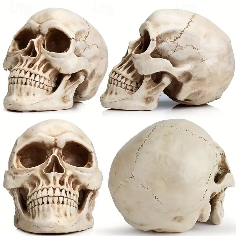 7.9In Life-Size Skull Halloween Party Decorations Human Head Model for Home Decoration Halloween Statue Adult Head Bone Model Party Table Centerpiece Home Decoration for Christmas Halloween De2