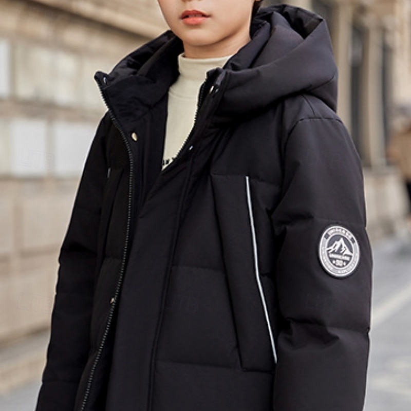 Kids Unisex Down Jacket Outdoor Jacket Puffer Jacket Outerwear Solid Color Long Sleeve Keep Warm Windproof Coat Outdoor Daily Basic Black Fall Winter 4 years+2