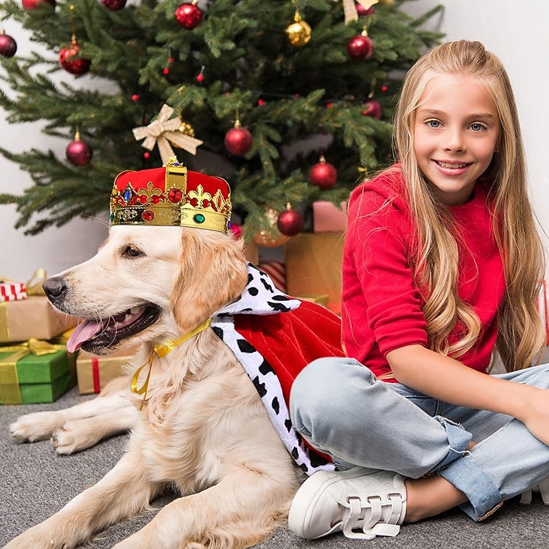 2pcs Royal Dog Costume Set King Cape and CrownAll-Season Pet Garment for Medium Breeds Funny Dog Clothes for Halloween Kings and Princes Outfit for Small to Large Dogs3