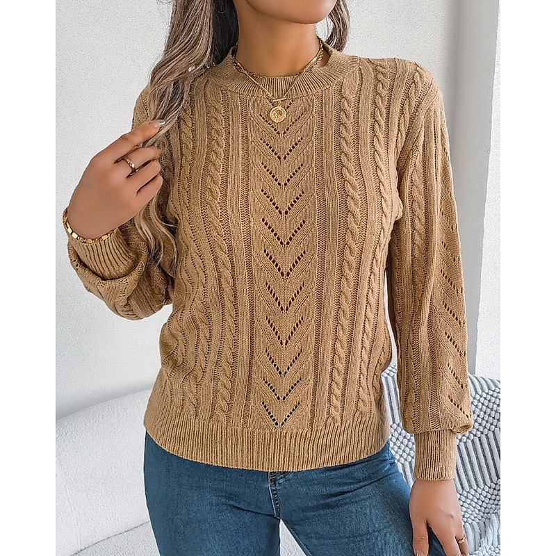 Women's Sweater Pullover Streetwear Casual Pure Color Crew Neck Knitted Long Sleeve Regular Tops Knit Daily Holiday Weekend Orange Khaki Fall Winter4