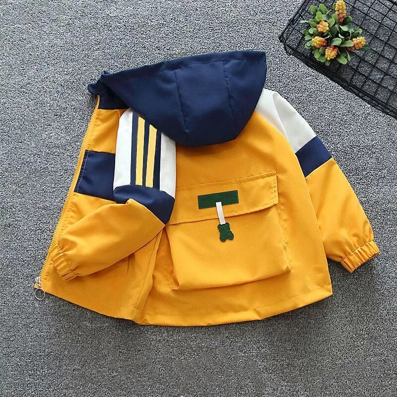 Kids Boys' Hiking Jacket Outdoor Jacket Outerwear Color Block Long Sleeve Zipper Pocket Comfort Windproof Breathable Coat Outdoor Fashion Daily Azure Earth Yellow Spring Fall 4 years+2
