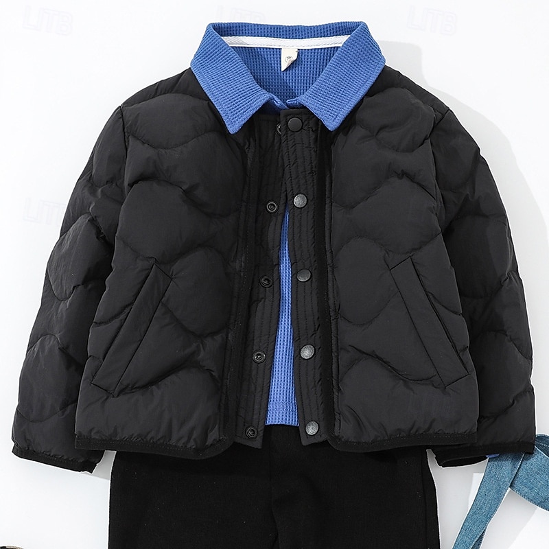 Kids Boys' Down Coat Puffer Jacket Outerwear Solid Color Long Sleeve Zipper Pocket Coat Outdoor Adorable Daily Black Pink Blue Winter 4 years+3