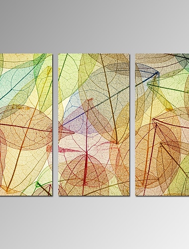  Stillleben / Freizeit / Botanisch / Modern / Romantisch / Pop Art Leinwand drucken Drei Paneele Fertig zum Aufhängen , Vertikal