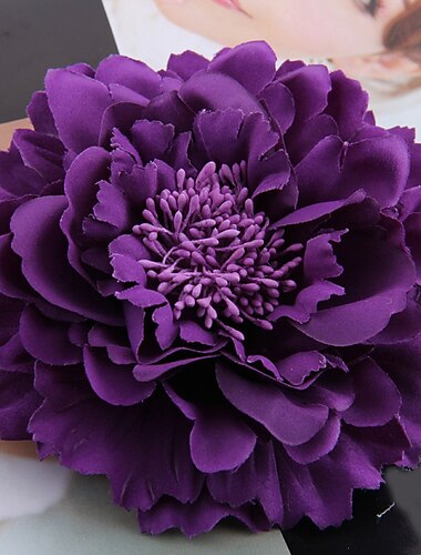  חתונת סתיו גברים בנות גברים סיכות תכשיטי סיכה מסוגננים סגול אדום כחול למסיבה חתונה ליל כל הקדושים ללבוש יומיומי/זוגי