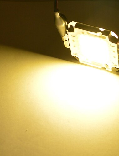  zdm 1 pc led cob chip 20 w 30 w 50 w ac220v ciepły biały / zimne białe światło silnik zintegrowany inteligentny sterownik ic