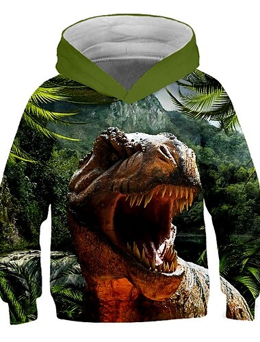  Para Meninos 3D Gráfico Impressão 3D Moleton & Blusa de Frio Pullover Manga Longa Impressão 3D Ativo Roupa de rua Infantil Bébé 3-12 anos