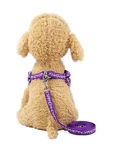  Chien Chat Tenue Harnais Avion-école Marche Chiens & Chats Géométrique Empreinte / patte Rauque Golden Retriever Dalmatien
