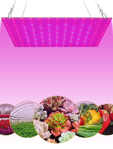  1pc 81LEDs 169 LEDs LED Grow Light for Indoor Plants Plant Growing Lamp Red Blue Full Spectrum For Indoor Hydroponic Plant