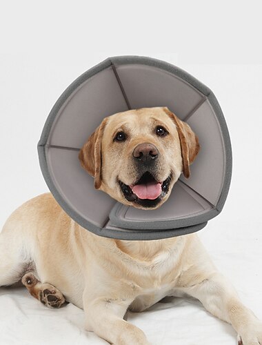  Chien Chat Cône pour animaux de compagnie Collier de récupération pour animaux de compagnie Cercle Elizabeth Ajustable Déstressant Sécurité Guérison des plaies anti-morsures Après la chirurgie de