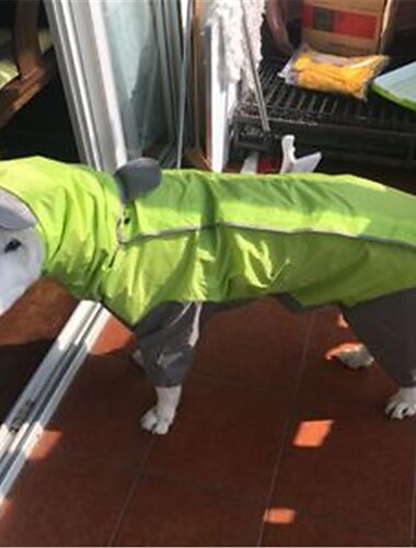  hund regenmantel all-inclusive offener bauch mittlerer und großer hund teddy bichon golden retriever satsuma pet siamese vierbeinige kleidung