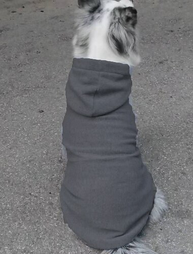  Hund Katze Kapuzensweatshirt Elegant Niedlich Atmungsaktiv Weich Alltagskleidung Alltagstauglich Hundebekleidung for Buldogge Bichon Frise Zwergspitz Klein Mittelgroß
