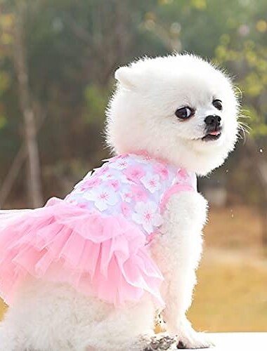  ペットの犬のスカート猫の服春と夏のペットの服愛らしいチュチュ犬のドレスストライプメッシュ子犬の犬の王女のドレス（ピンク、s）