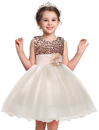  Blumenmädchenkleid Mädchen Kleid Party Kleid Hochzeit Party Prinzessin Süß Pailletten Blumen Ärmellos Rundhalsausschnitt Silber Schwarz 3-12 Jahre
