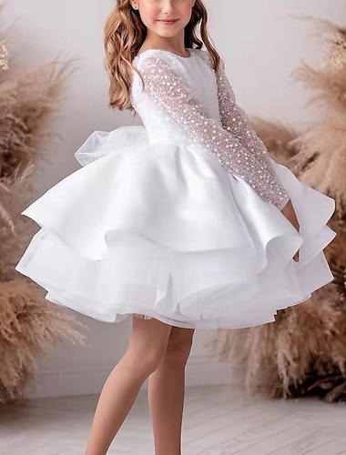  Παιδιά Λίγο Κοριτσίστικα Φόρεμα Πουά Μονόχρωμο Φόρεμα σε γραμμή Α Επίδοση Σουρωτά Δίχτυ Λευκό Τούλι Πάνω από το Γόνατο Μακρυμάνικο Πριγκίπισσα Γλυκός Φορέματα Φθινόπωρο Άνοιξη Κανονικό 3-12 χρόνια