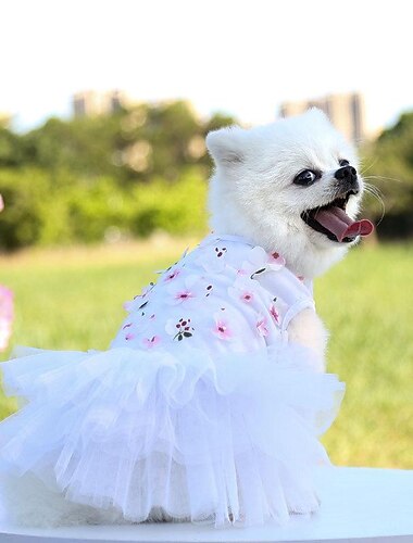  Chihuahua-Hundekleid, Sommerkleider für süße Hündinnen, extra kleine Hundekleidung für Mädchen, Hundekleidung für Yorkie-Teetassen, Sommerkleid mit Blumen, kleiner Hunderock, Katzenkleidung xxs~s