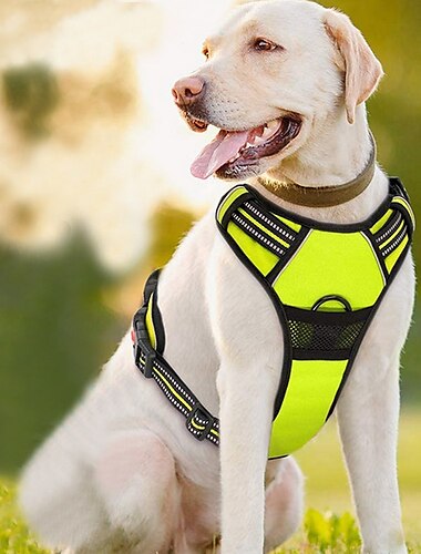  No Pull Dog Harnesses for Small Dogs Reflective Adjustable Front Clip Vest with Handle 2 Metal Rings 3 Buckles [Easy to Put on & Take Off