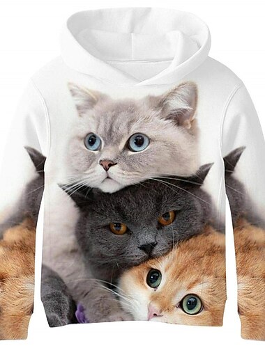  Jungen 3D Tier Katze Kapuzenshirt Langarm 3D-Druck Frühling Herbst Aktiv Sport Modisch kinderkleidung 3-13 Jahre Outdoor Täglich Innen Regular Fit