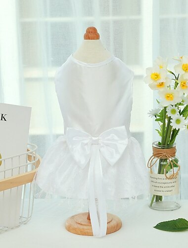  Hund Katze Kleid Mode Niedlich Winter Atmungsaktiv Weich Waschbar Bequem Outdoor Alltagstauglich Hundebekleidung for Bichon Frise Zwergspitz Baby Haustier Papillon Klein
