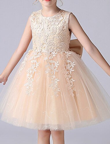  Princesse Au dessus des genoux Robe de Demoiselle d'Honneur Fille Première communion Jolie robe de bal Dentelle avec Pétale Ajustement 3-16 ans