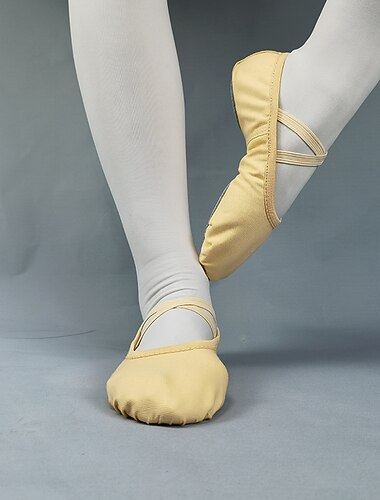  Zachtroze balletschoenen voor dames - comfortabele dansschoenen met elastische bandjes voor ballet, danslessen en optredens