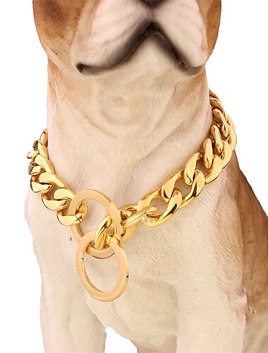  15 mm eBay-Titanstahl, Edelstahl, goldenes Pitbull-Haustier, große Hundekette, Haustierkettenhalsband