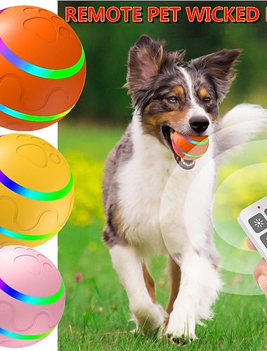  Juguete interactivo para perros, bola malvada, control remoto para gatos de interior, perros con movimiento activado, recargable por USB