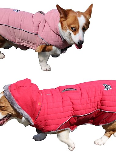  Perros Gatos Abrigos Chaqueta Estilo lindo Casual Invierno Templado Transpirable Suave Lavable Cómodo Exterior Casual Diario Ropa para perros for Bichón Frisé Pomerania Animal doméstico del beb
