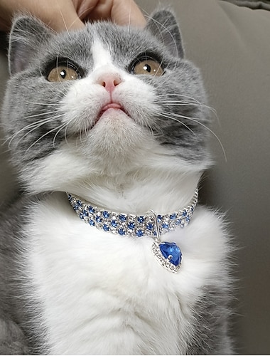  2 uds perlas diamante mascota gato perro collar collar joyería con diamantes de imitación brillantes para mascotas gatos perros pequeños hembra cachorro chihuahua yorkies niña traje trajes ajustable