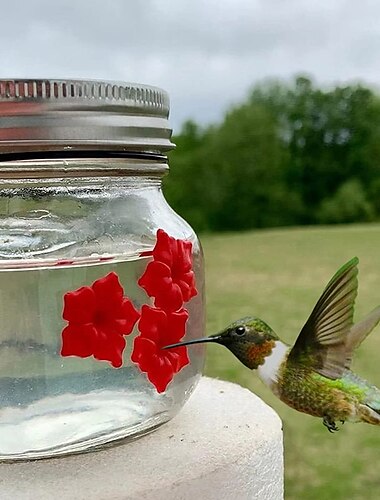  Les mangeoires pour colibris pour l'extérieur portables s'appliquent à tous les oiseaux, bouteille suspendue mangeoire pour colibris à l'extérieur, étanche, facile à nettoyer et à remplir, avec 3 orifices d'alimentation