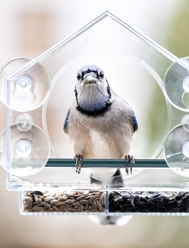  Mangeoire à oiseaux pour l'extérieur - Mangeoires à oiseaux à fenêtre transparente avec ventouses solides - Mangeoire à oiseaux transparente montage de fenêtre Nichoir en acrylique pour perchoir de fenêtre de chat