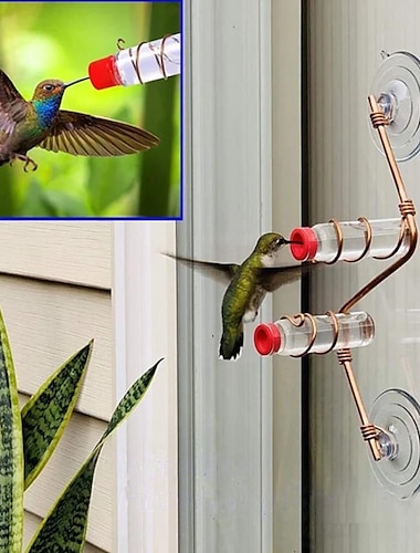 fenêtre mangeoire pour colibri fenêtre montage colibri mangeoire buveur d'eau extérieur jardin cour décor