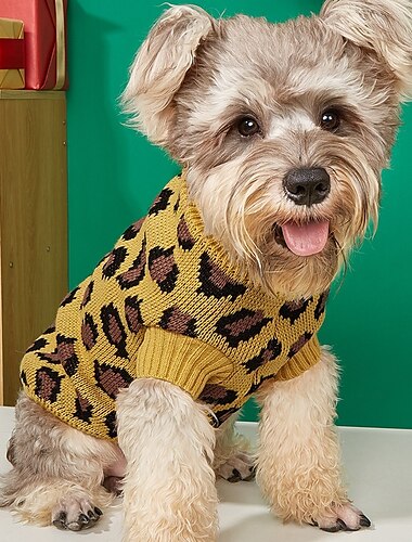  Hund Katze Pullover Jumper Mode Niedlich Winter Atmungsaktiv Weich Waschbar Bequem Outdoor Alltagstauglich Hundebekleidung for Bichon Frise Zwergspitz Baby Haustier Papillon Klein
