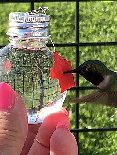  Kolibri-Futterspender für den Außenbereich, tragbar, gilt für alle Vögel, flaschenhängender Kolibri-Futterspender im Freien, auslaufsicher, leicht zu reinigen und zu befüllen, mit 3 Futteröffnungen