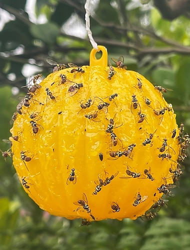  sticky traps-bollar, klibbiga insektsfällor för krukväxter som fångar fruktflugor, myggor andra flygande insekter, söt bolldesign, klibbiga fruktflugsfällor för inomhus/utomhus/fält och trädgårdar