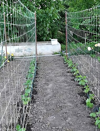  решетчатая сетка для растений, сетка для выращивания из прочного полиэстера, садовая решетчатая сетка с квадратной сеткой для вьющихся растений, овощей, фруктов и цветов
