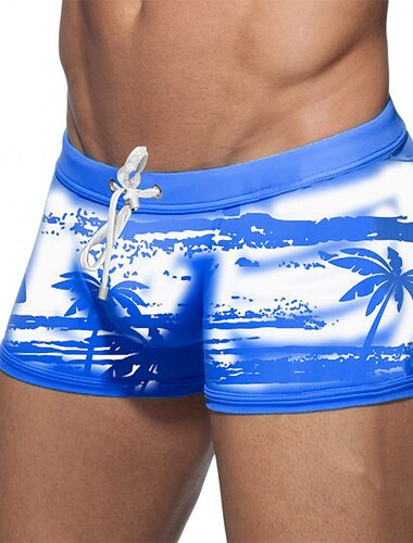 Voor heren Boardshorts Zwemshorts Lange zwembroeken Strandshorts Trekkoord Grafische prints Sneldrogend Buiten Feestdagen Uitgaan Hawaii Boho blauw Paars