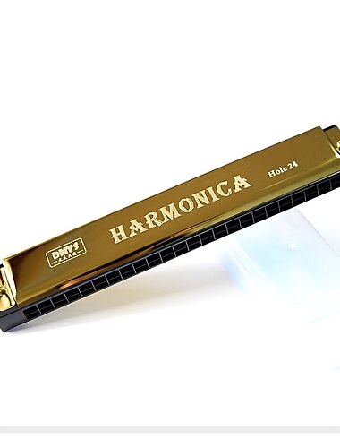  24-Loch Mundharmonika Mund Metall Orgel Musikinstrumente für Anfänger Mundharmonika Harfe Harmonium Blues Hinweise Unterricht spielen Geschenk