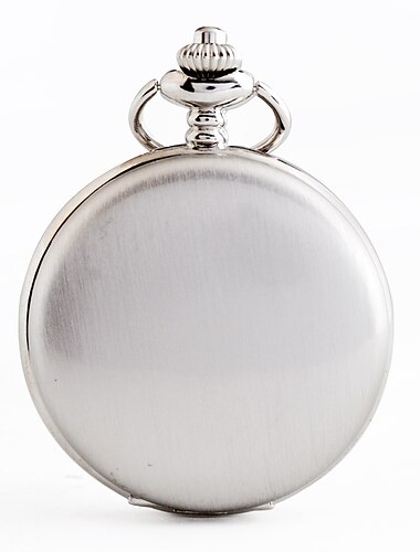  Heren Zakhorloge Holle Gravure RVS Horloge