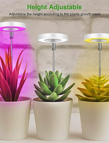  ضوء النبات الملون حلقة ملاك لحمي ضوء USB ملون كامل الطيف led بونساي داخلي مؤقت يعتم ضوء النمو مناسب للنباتات الداخلية نباتات خزانات اللحوم بوعاء 1 قطعة