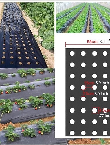  Kunststofffolie mit Pflanzlöchern, Barrierefolie zur Bekämpfung von Unkraut im Garten, Mulchen von atmungsaktiven Gartenbau-Landschaftsfolien zur Aufrechterhaltung der Feuchtigkeitstemperatur